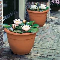 Terracotta effect Planter - 2 terracotta-effect planters