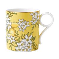 tea garden lemon ginger mug