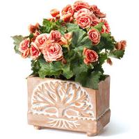 Terracotta Tree of Life Planter