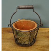 Terracotta Plant Pot with Wire Basket by Fallen Fruits