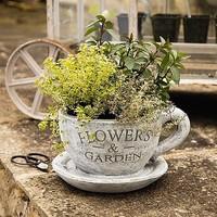 Teacup Planter