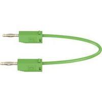 Test lead [ Banana jack 2 mm - Banana jack 2 mm] 0.15 m Green MultiContact LK205