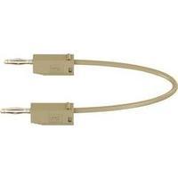 Test lead [ Banana jack 2 mm - B...