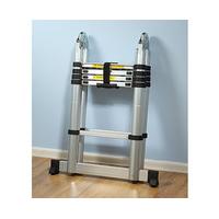 Telescopic Ladder, Medium