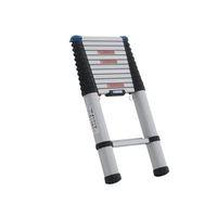 Telemaster Telescopic Ladder 3.8m