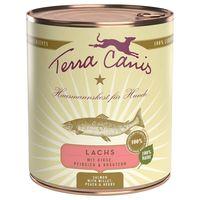 terra canis 6 x 800g turkey with vegetables