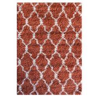 Terracotta Trellis Shaggy Rug Helsinki M