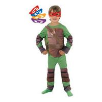 Teenage Mutant Ninja Turtles Fancy Dress - 5-6 Years