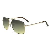 Ted Baker Sunglasses TB1206 401