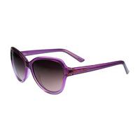 ted baker sunglasses tb1262 702