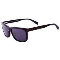 Ted Baker Sunglasses TB1263 006