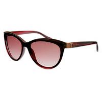 Ted Baker Sunglasses TB1280 227