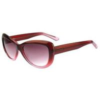 ted baker sunglasses tb1259 275