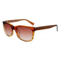 Ted Baker Sunglasses TB1269 105