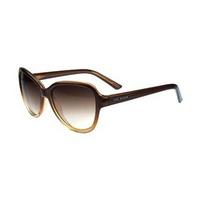 Ted Baker Sunglasses TB1262 102