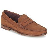 Ted Baker MIICKE 3 men\'s Loafers / Casual Shoes in brown