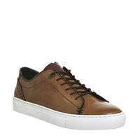 ted baker kiing sneaker tan leather