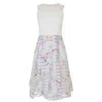 ted baker monah oriental blossom dress