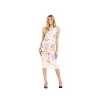 Ted Baker Hanging Gardens Border Dress