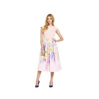 ted baker hanging garden ballet dress