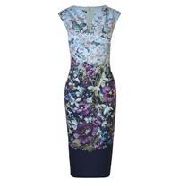 ted baker tiha enchantment bodycon dress