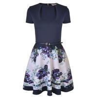 ted baker stefh enchantment skater dress