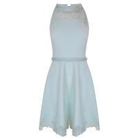 ted baker zaffron embroidered skater dress