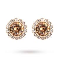 Ted Baker PVD Gold Plated Sully Crystal Daisy Stud Earrings