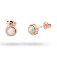Ted Baker Jewellery Ladies\' Rose \'sinaa\' Grey Pearl Stud Earrings