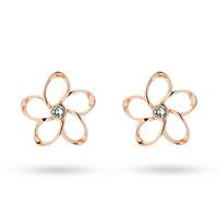 ted baker jewellery ladies rose gold plated crystal blossom earrings