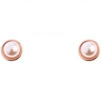 Ted Baker Sinaa Pearl & Rose Gold Stud Earrings