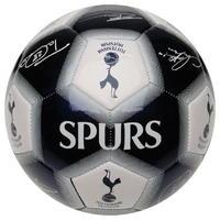 Team Signed Football