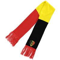 team supporter scarf tricolour