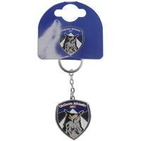 Team Football Keyring