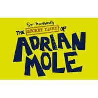 The Secret Diary of Adrian Mole aged 13 3/4 theatre tickets - Menier Chocolate Factory - London