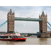 thames lunch cruise