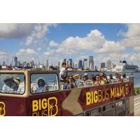 The Big Bus Miami - 24 Hour Tour