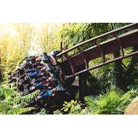 thorpe park resort 1 day ticket infernos pizza pasta meal deal