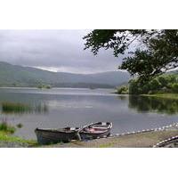 The Ring of Kerry Private Driving Tour from Killarney