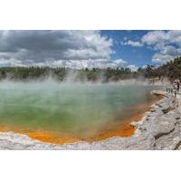 Thermal Wonderland Geyser Link Shuttle Tour from Rotorua