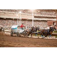 The Calgary Stampede
