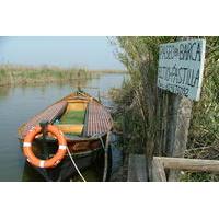 The Albufera Natural Park Private Tour from Valencia with transport