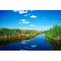 The Delta nearby Bucharest seen by boat