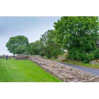 The Romans and Hadrian\'s Wall Day Tour from Windermere
