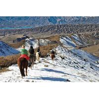 The Real Gaucho Day Trip from Mendoza: Don Daniel Ranch