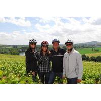 The Champagne Region Bike Tour from Paris