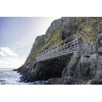 The Gobbins Cliff Walk and Belfast Tour