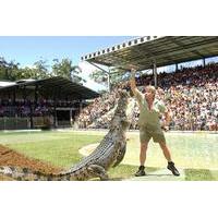 the crocodile hunters australia zoo admission and transfer combo from  ...