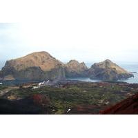 The Westman Islands Private Tour from Reykjavik