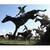 The Grand National Meeting / Grand National Day